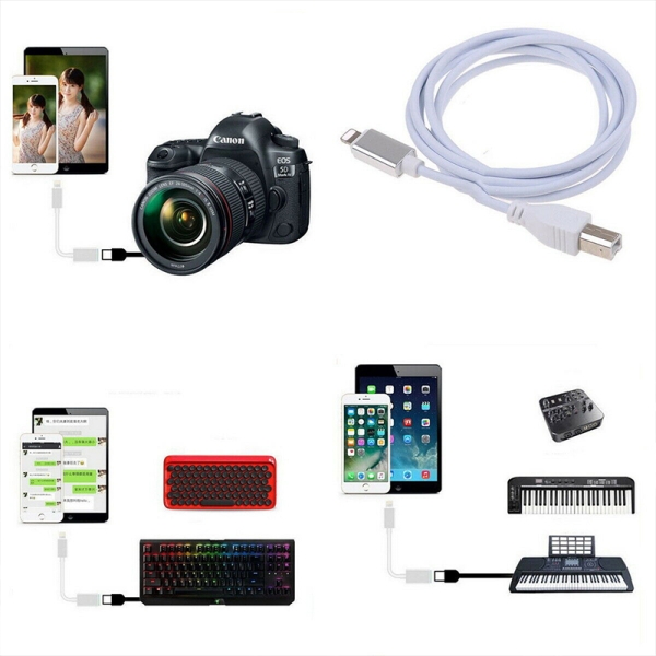 Lightning /Type B Usb 2.0 Adapter Kabel Für Ipad Iphone Pian