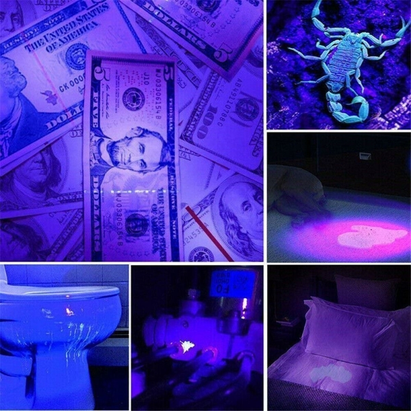 Uv Led Taschenlampe Ultraviolett Schwarz Ultraviolett Schwar