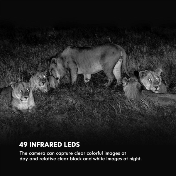 Kamera Wildkamera 1080P 12Mp Jagdkamera Fotofalle Pir Nachts
