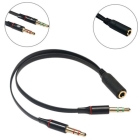 3.5Mm Aux